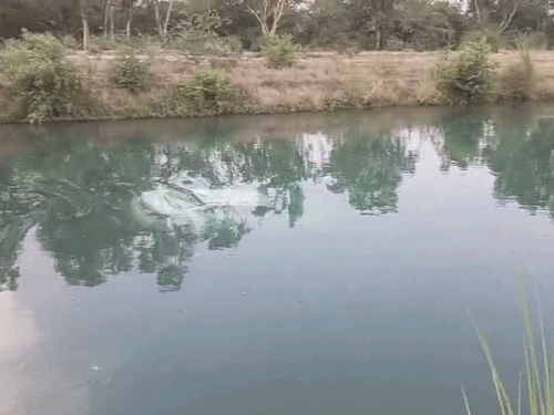 फतेहाबाद में भाखड़ा नहर में गिरी जींद नंबर कार:बाहर निकलने की कोशिश में ड्राइवर डूबा; कच्चे रास्ते पर मोड़ने पर हुआ हादसा