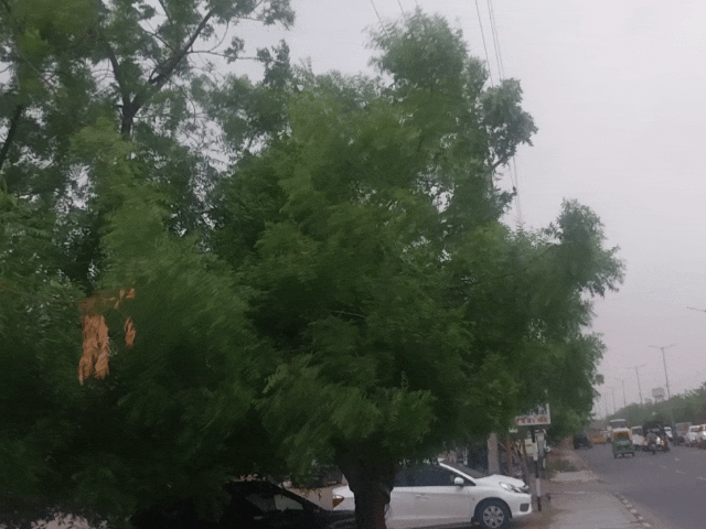 जोधपुर में मौसम में बदलाव,2 डिग्री गिरा पारा:उमस और गर्मी से मिली राहत, आंधी-बारिश का येलो अलर्ट