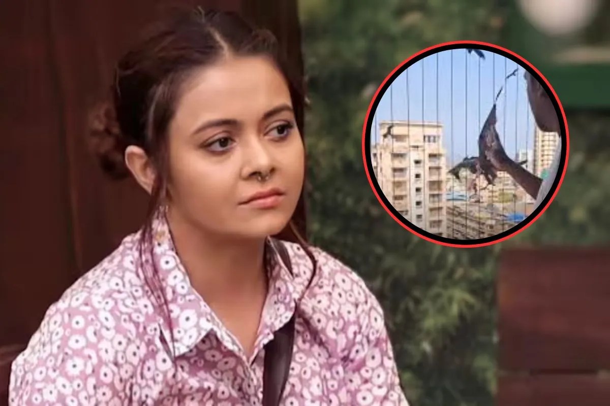 बालकनी से मांस फेंकने पर भड़की देवोलीना भट्टाचार्जी, बोलीं- होली पर मोहतरमा पर गुब्बारे का रंग गिरा तो हत्या हो गई थी