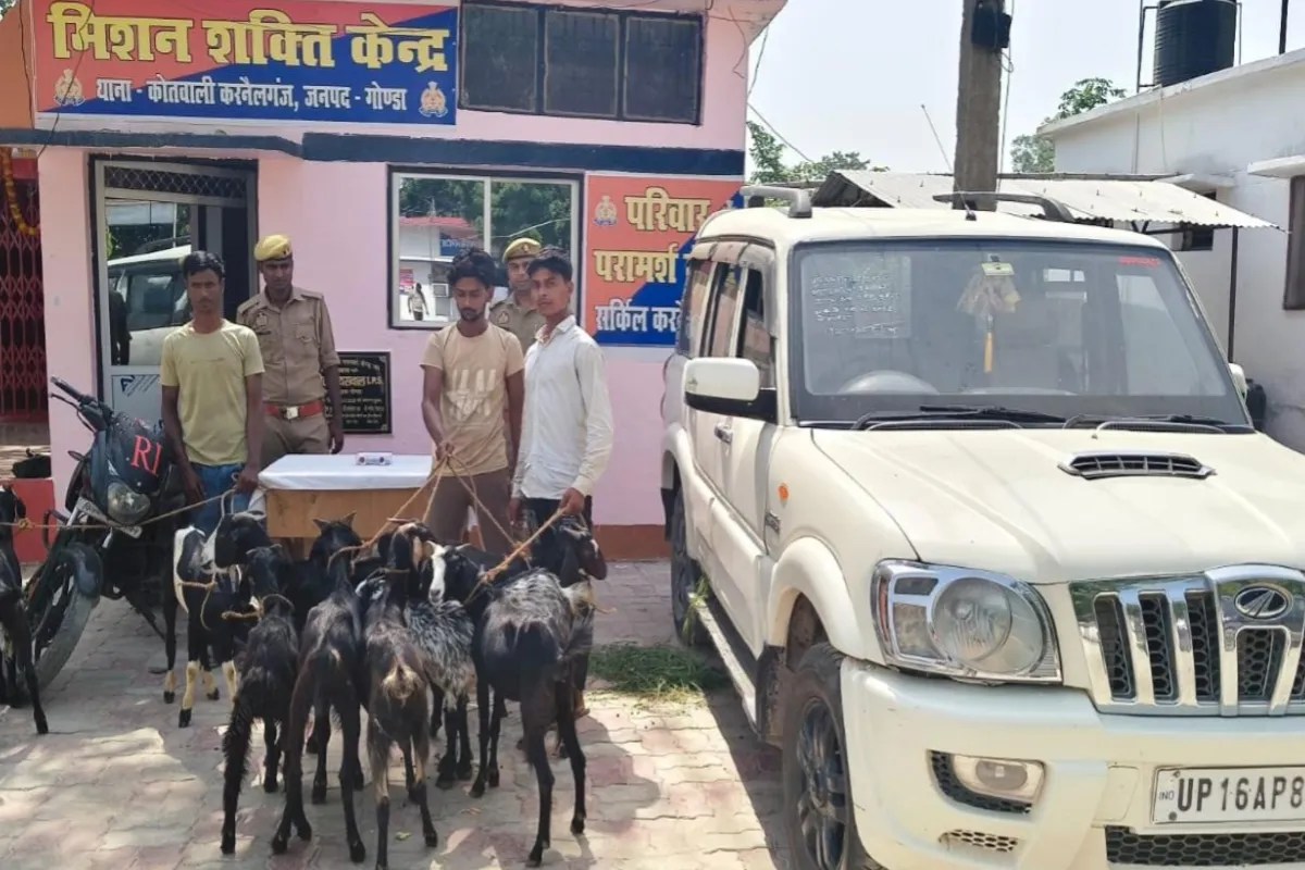 गोंडा: दिन में गांव में घूमकर करते थे रेकी, फिर रात में लग्जरी गाड़ियों से बकरी चोरी, पुलिस ने पकड़ा गैंग