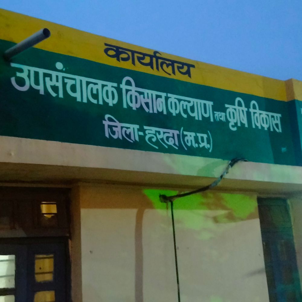 हरदा में 10 दिन से मूंग खरीदी पंजीयन ठप:पोर्टल की खराबी और गिरदावरी अपलोड न होने से 40 हजार किसान परेशान
