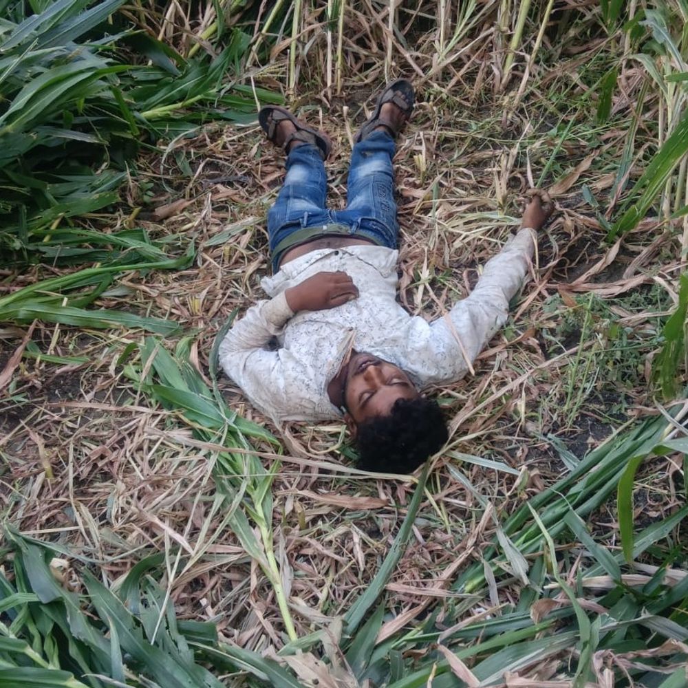 युवक पर गिरा बिजली का तार, करंट लगने से मौत:देवास में खेत पर चरी काटते समय हादसा; बिजली कंपनी पर सुनवाई नहीं करने का आरोप