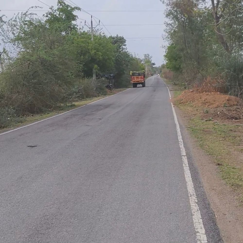 दतिया में जून की शुरुआत ठंडी:सुबह बारिश से पारा 35.2 डिग्री, दोपहर में उमस बढ़ी