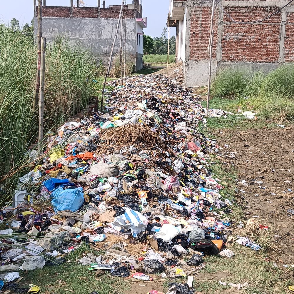 सड़क किनारे कूड़ा डंप करने पर फूटा लोगों का गुस्सा:न्यू विहार कॉलोनी में मोहल्ले वासी बोले- बीमारी फैलने का बढ़ा खतरा
