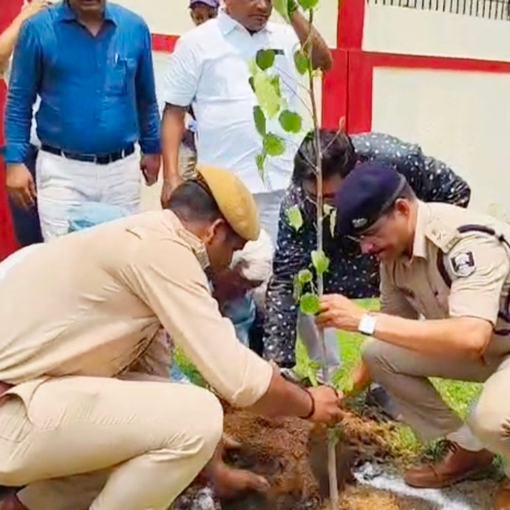 शेखपुरा में विश्व पर्यावरण दिवस पर वृक्षारोपण:डीएम, एसपी और प्रधान जिला जज ने दिलाई शपथ, पेड़ के महत्व की दी जानकारी