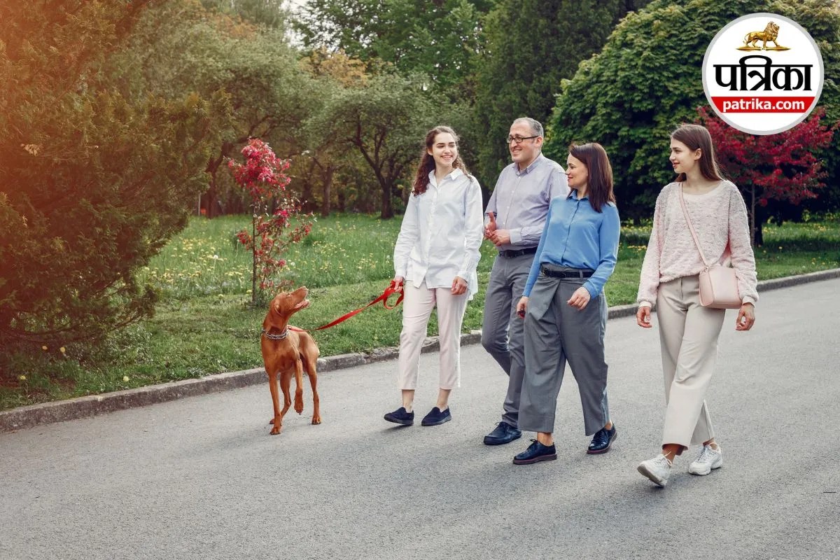 Fart Walk Benefits: खाना खाने के बाद 10 मिनट की फार्ट वॉक क्यों हो रही है वायरल? जानिए इसके फायदे