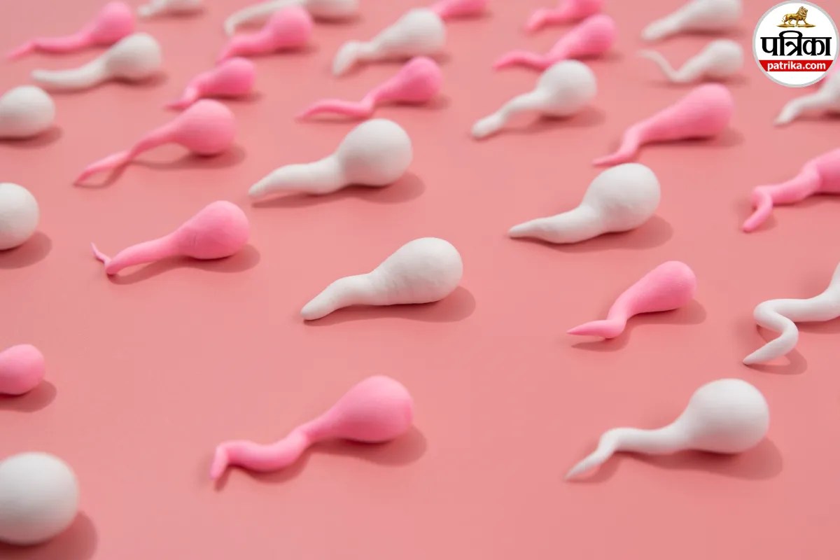 Male Infertility Causes: गायनेकोलॉजिस्ट से जानें सिगरेट, स्ट्रेस और खराब लाइफस्टाइल से क्या पुरुषों में बढ़ रहा है बांझपन का खतरा!
