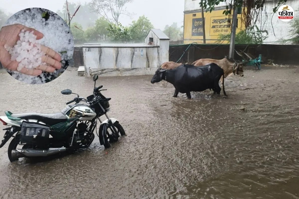 Rajasthan Ka Mausam: हाड़ौती में झमाझम बारिश के साथ गिरे ओले, 5 जून तक 37 जिलों में येलो अलर्ट जारी