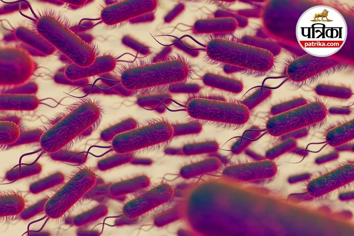 केरल में 4 साल के बच्चे की मौत के बाद Shigella संक्रमण पर चर्चा तेज, जानिए बच्चों में इसके लक्षण