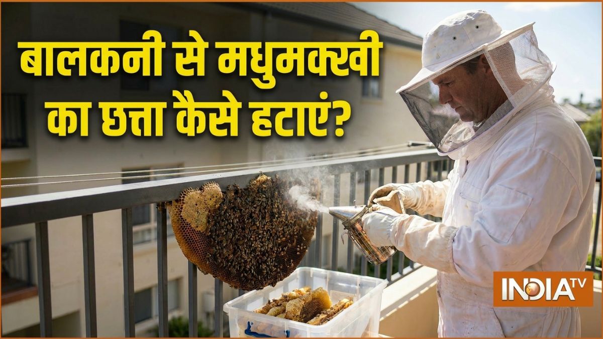 मिल गया बालकनी से मधुमक्खी का छत्ता हटाने का आसान तरीका? आज ही अपनाकर देखें