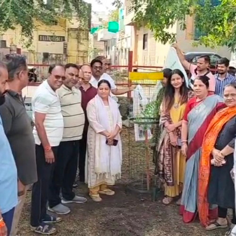 नीमच में जून माह में लगेंगे 80 हजार पौधे:नगरपालिका ने शहर को हरा-भरा बनाने का संकल्प लिया