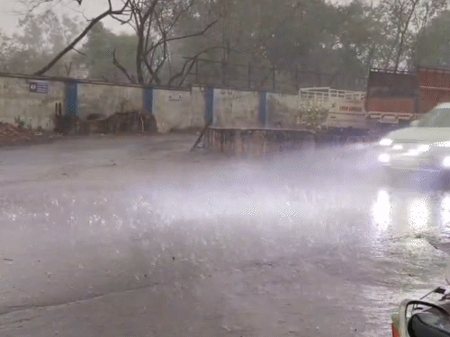 दंतेवाड़ा में बिजली गिरने से महिला की मौत, 11 घायल:कोरबा में अंधड़ से गिरे पेड़, 5 दिन 60 KM रफ्तार से हवाएं चलेंगी