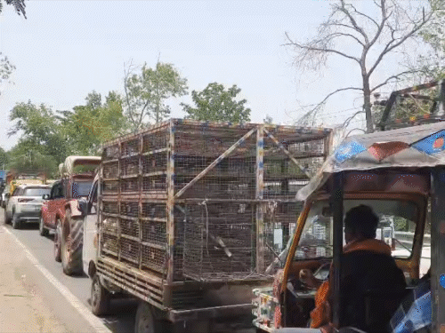 दोमुहान पुल क्षतिग्रस्त, वन-वे व्यवस्था बनी मुसीबत:औरंगाबाद में 4 घंटे तक जाम में फंसे लोग; इंजीनियर बोले- 4.56 करोड़ में डायवर्जन बन रहा