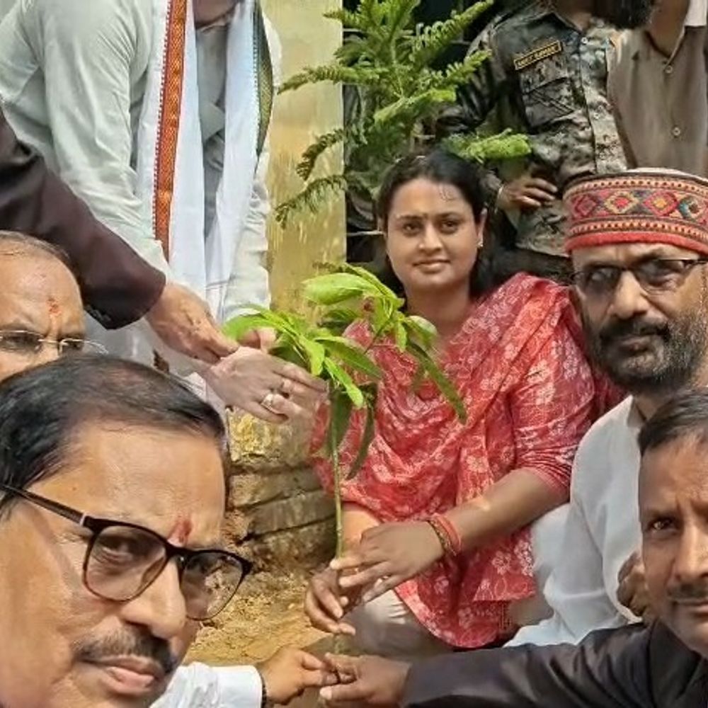 मंत्री श्रेयसी सिंह ने कोर्ट परिसर में किया पौधारोपण:जमुई में विश्व पर्यावरण दिवस पर ‘एक पेड़ मां के नाम’ अभियान का शुभारंभ
