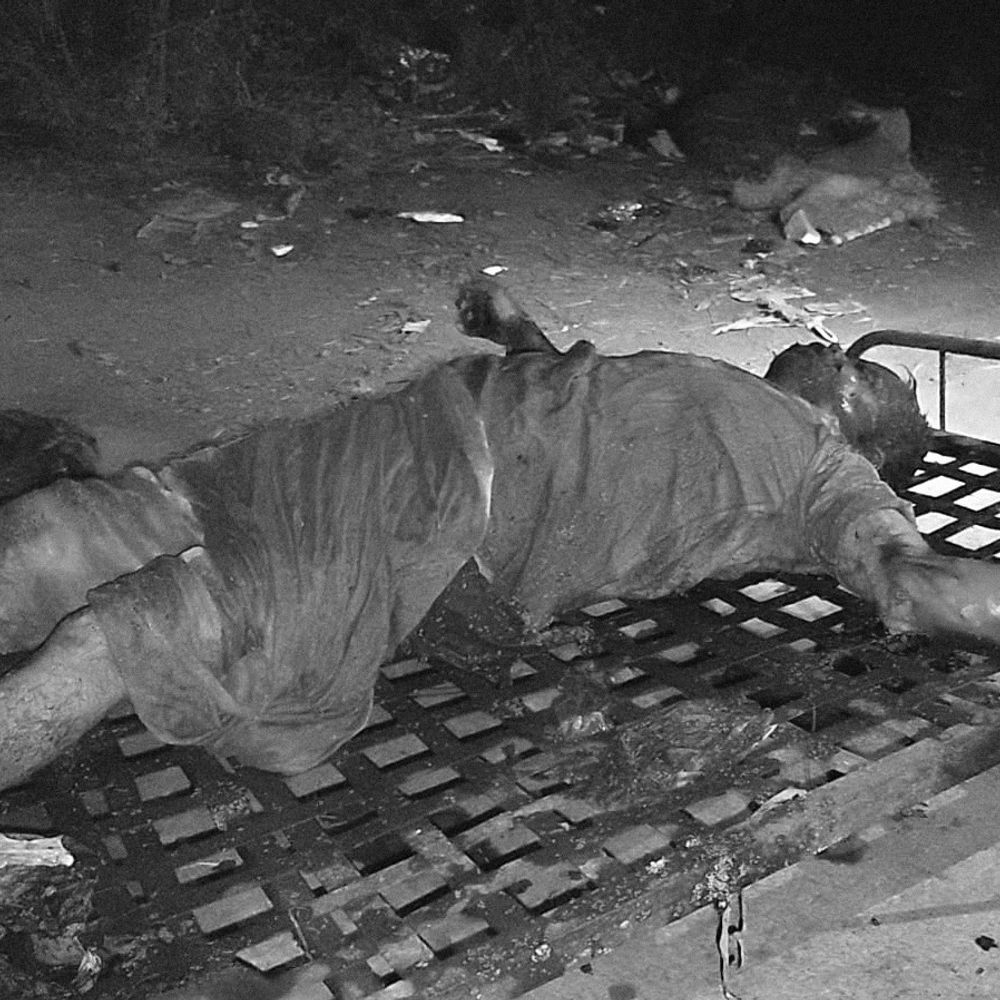 मंदसौर में बावड़ी में मिला बुजुर्ग का शव:चंद्रपुरा में मंदिर के पास पानी में उतरा रहा था; दो दिन से थे लापता