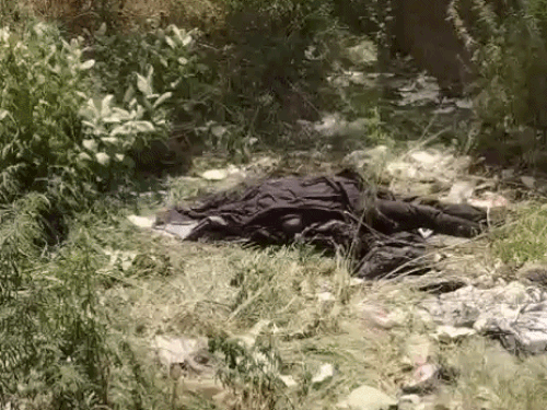 लुधियाना में खाली प्लाट से मिला युवक का शव:लोगों ने पुलिस को दी सूचना,पोस्टमार्टम के बाद होगा खुलासा, पुलिस जांच में जुटी