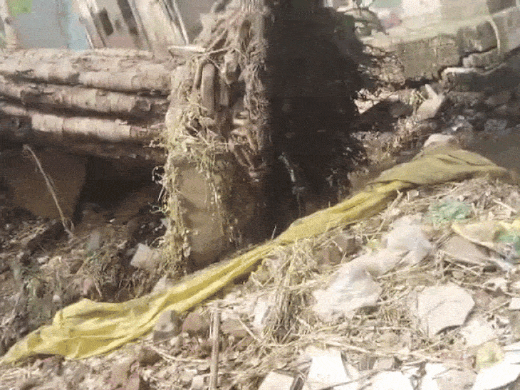 40 साल पुराना पेड़ आंधी की वजह से उखड़ा:तारों पर गिरने से बिजली गुल; सनावद में आंधी-बारिश से 10 से ज्यादा वृक्ष धराशायी