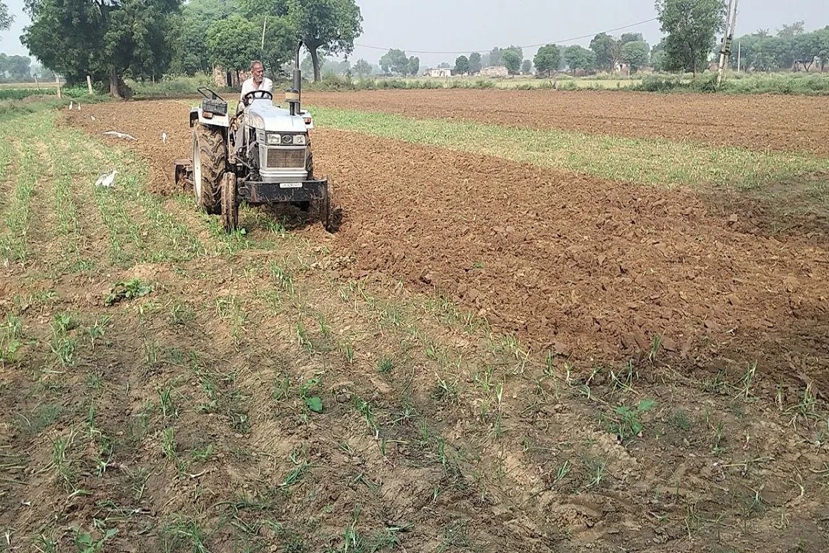 Alwar: किसान चिंतित… खेत में बुवाई से लेकर मंडी तक फसल लाना हुआ महंगा