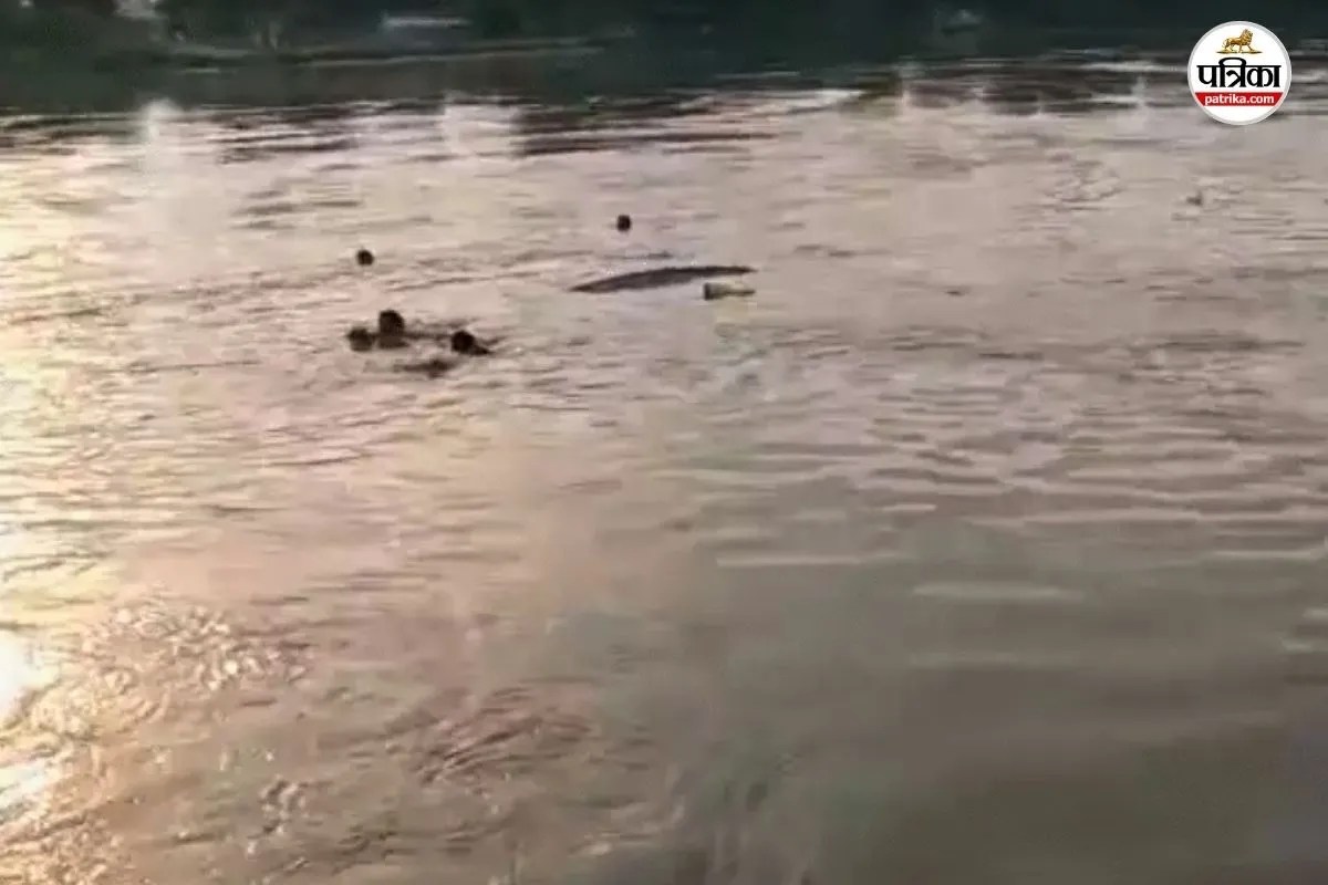 Darbhanga Boat Accident: नदी पार मूंग तोड़ने जा रही थीं महिलाएं, कोसी नदी में पलटी नाव; 12 साल की बच्ची समेत 4 डूबे