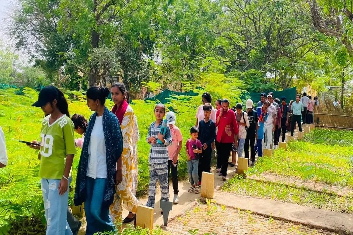 Video: विश्व पर्यावरण दिवस पर जैसलमेर में गूंजा हरियाली और संरक्षण संदेश