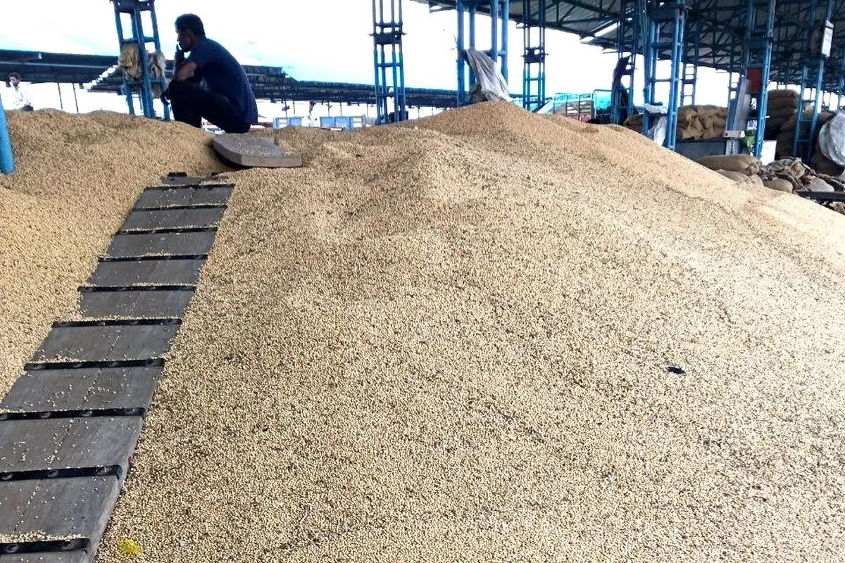 रतलाम में खरीफ सोयाबीन की इन नई किस्मों पर जोर