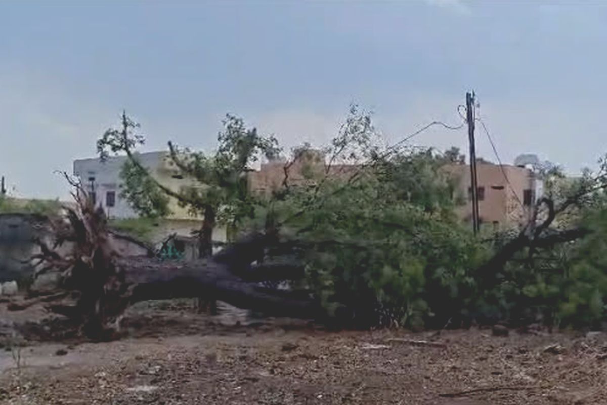 प्री-मानसून… खंडवा जिले के ओंकारेश्वर मोरटक्का में आंधी का कहर, 80 किमी की रफ्तार से चली हवा