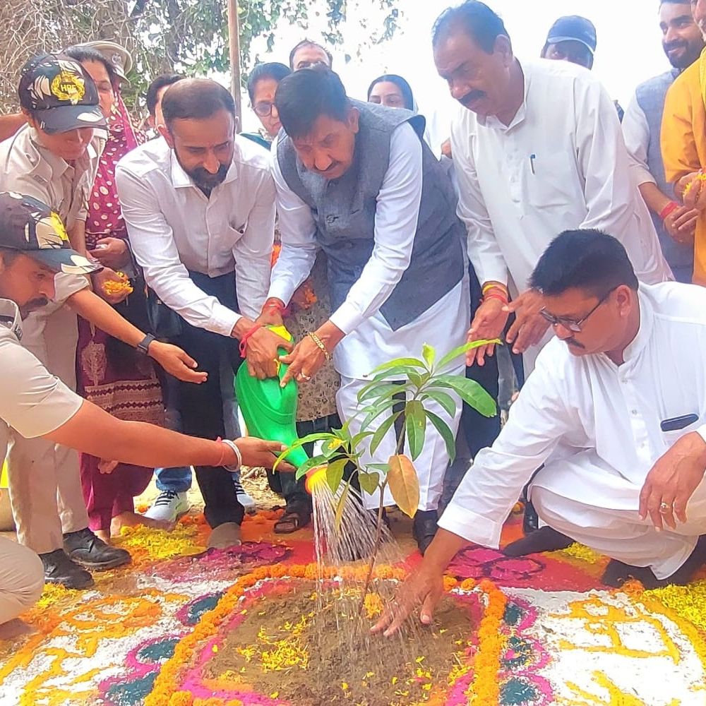 ऊना में वन महोत्सव शुरू, लगेंगे 2 लाख पौधे:डिप्टी CM अग्निहोत्री ने किया शुभारंभ; कहा-पौधों की देखभाल सामूहिक जिम्मेदारी