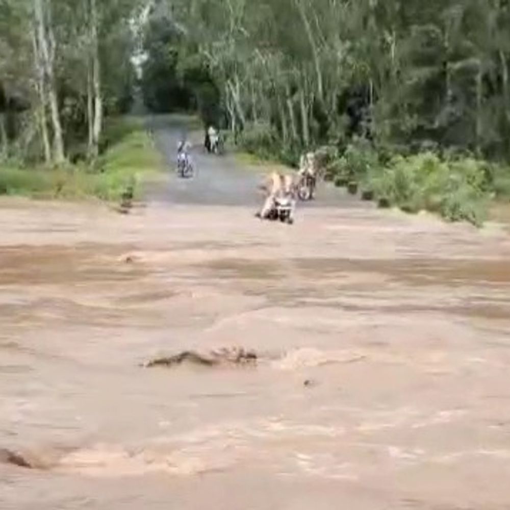 बुजुर्ग बाइक सवार खूंटी नाले में बहा, VIDEO:गौरेला-पेंड्रा-मरवाही में तेज बहाव के बीच नाला पार करते समय हादसा, सुरक्षित बाहर निकला