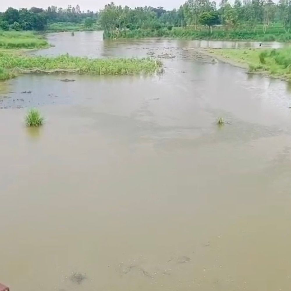 सई नदी का जलस्तर खतरे के निशान के पार:रायबरेली के डीह क्षेत्र के एक दर्जन गांवों में बाढ़ का खतरा