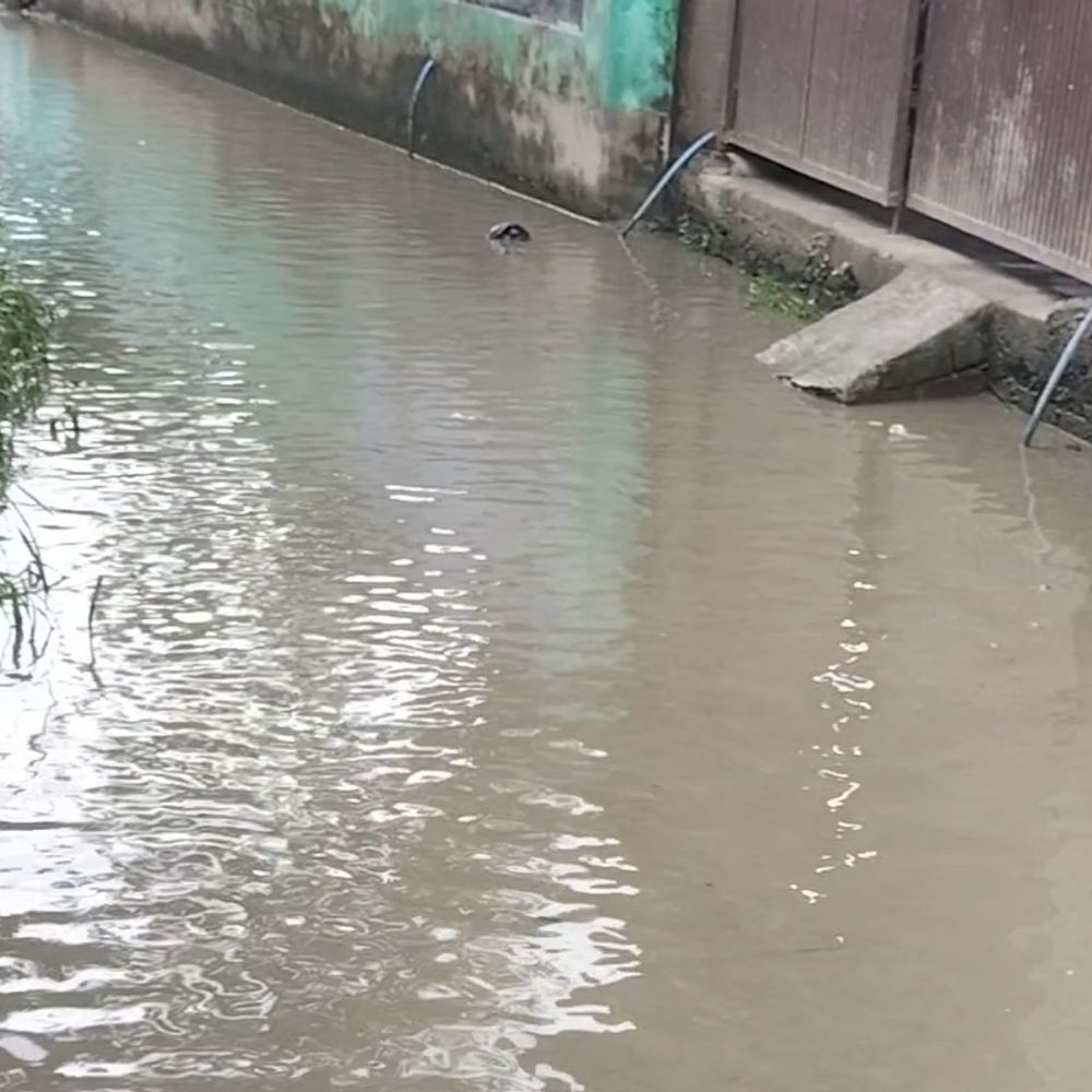 चाँदपूरा में पानी भरने से ग्रामीण परेशान:स्थानीय लोगों का आवागमन बाधित, सड़े पानी के दुर्गंध से बीमारी फैलने का खतरा