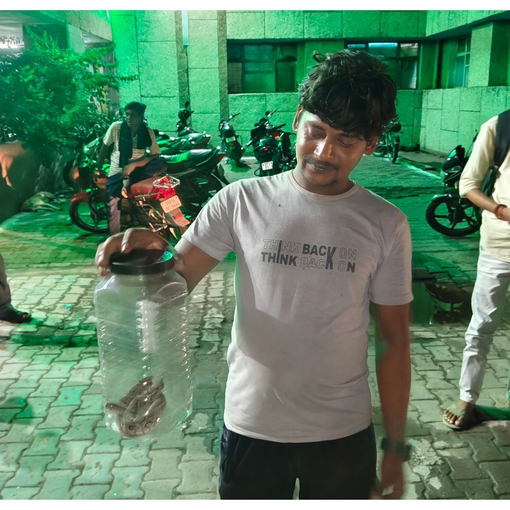 बाढ़ के पानी में युवक को सांप ने डसा:अमृतपुर में दोस्त ने पकड़कर डिब्बे में बंद किया, डॉक्टर ने 10 इंजेक्शन लगाए