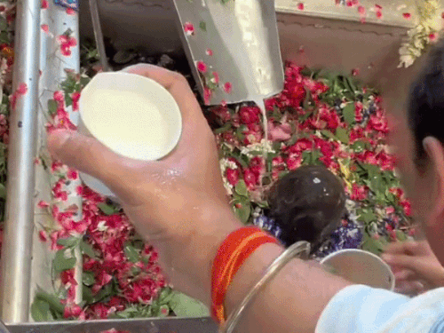 काशी विश्वनाथ मंदिर के गर्भगृह में युवक ने बनाया वीडियो:इंस्टाग्राम पर शेयर पर लिखा-Finally meta glasses paying off, मंदिर प्रशासन जांच में जुटी