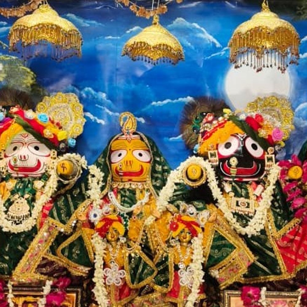 गौरांग महाप्रभु पाट उत्सव में उमड़ा श्रद्धालुओं का सैलाब:इटावा के पक्का तालाब में गूंजे ‘जय गौर-निताई’ के जयकारे, फूलों की होली में झूमे श्रद्धालु
