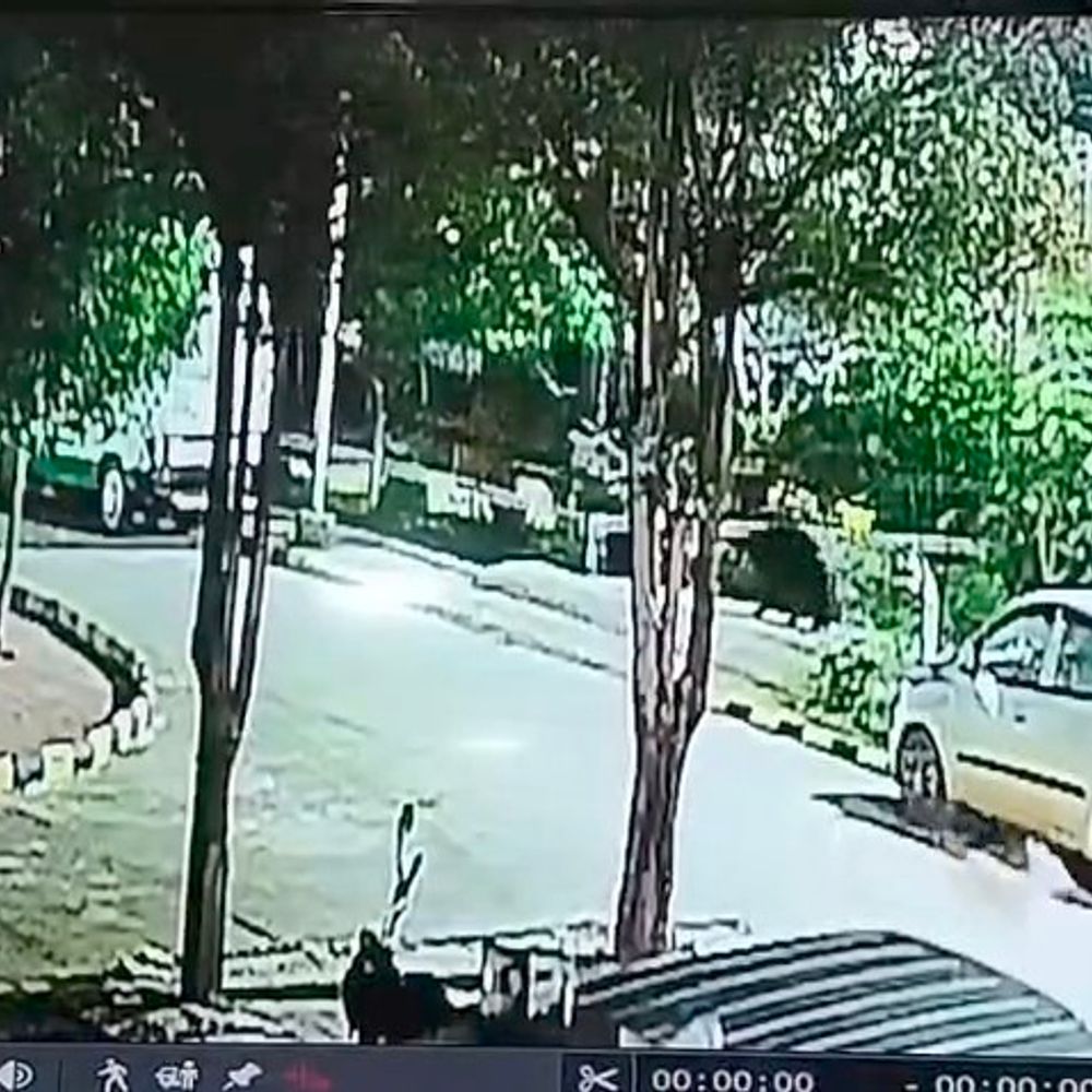 बालोद जिला अस्पताल में आधी रात घुसा भालू:कुत्तों के भौंकने पर चौकीदार ने देखा, डॉक्टर क्वार्टर की ओर गया और जंगल लौटा