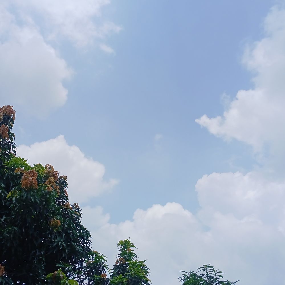 गोपालगंज में अधिकतम तापमान 34°C, न्यूनतम 28°C दर्ज:मौसम वैज्ञानिक बोले-‘मानसून पर ट्रफ रेखा का प्रभाव’,डिहाइड्रेशन से बचें