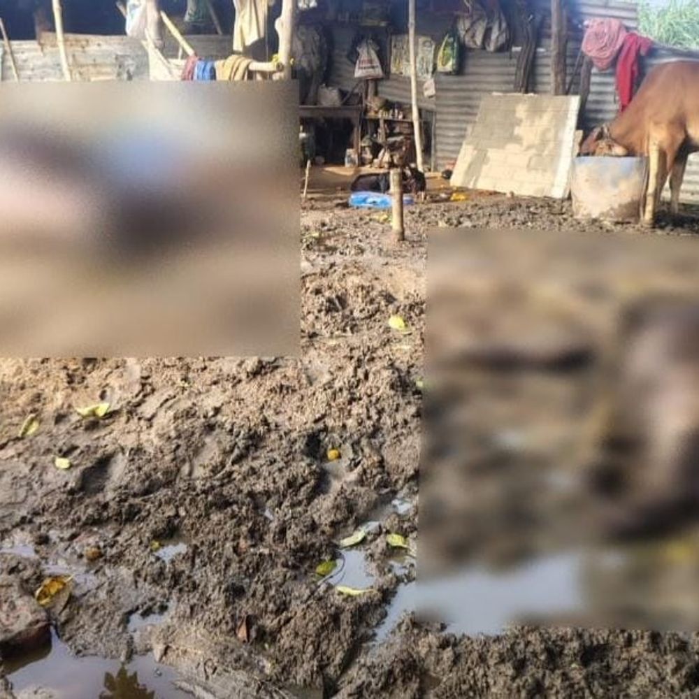 बिहटा में वज्रपात से दो भैंसों की मौत:प्रभावित परिवार को आर्थिक नुकसान की आशंका, प्रशासन से की मदद गुहार