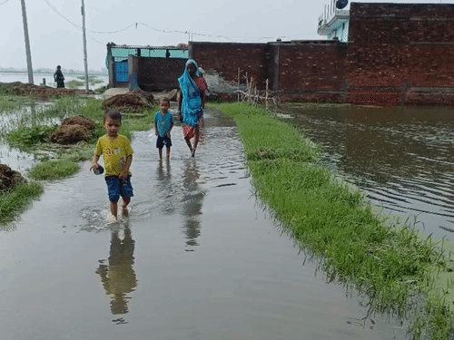 चंदौली में 200 बीघा धान की फसल पानी में डूबी:धुस नोनार ड्रेन की खुदाई नहीं होने से किसान परेशान, अधिकारी-जनप्रतिनिधि नहीं पहुंचे