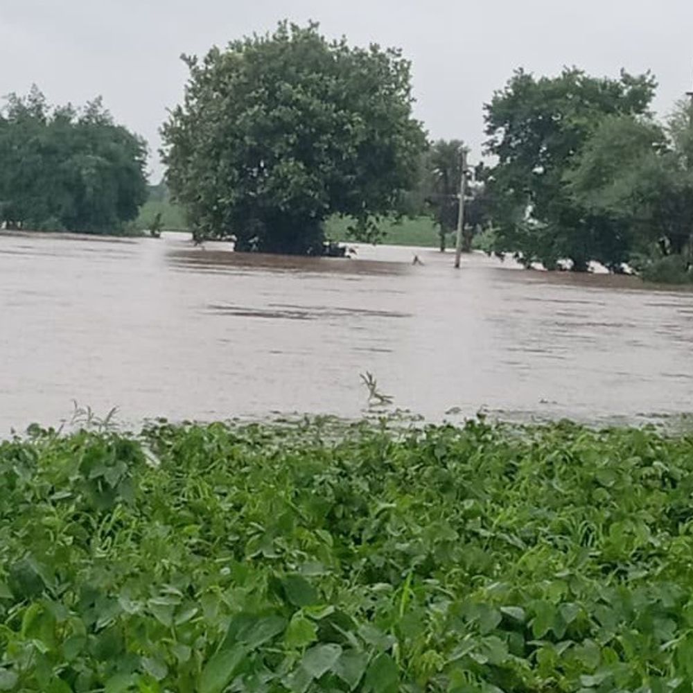 सीहोर में बदला मौसम का मिजाज:12 अगस्त को 0.58 इंच औसत बारिश, भैरूंदा में सबसे ज्यादा 1.61 इंच; अगले 2-3 दिन तेज बारिश के आसार