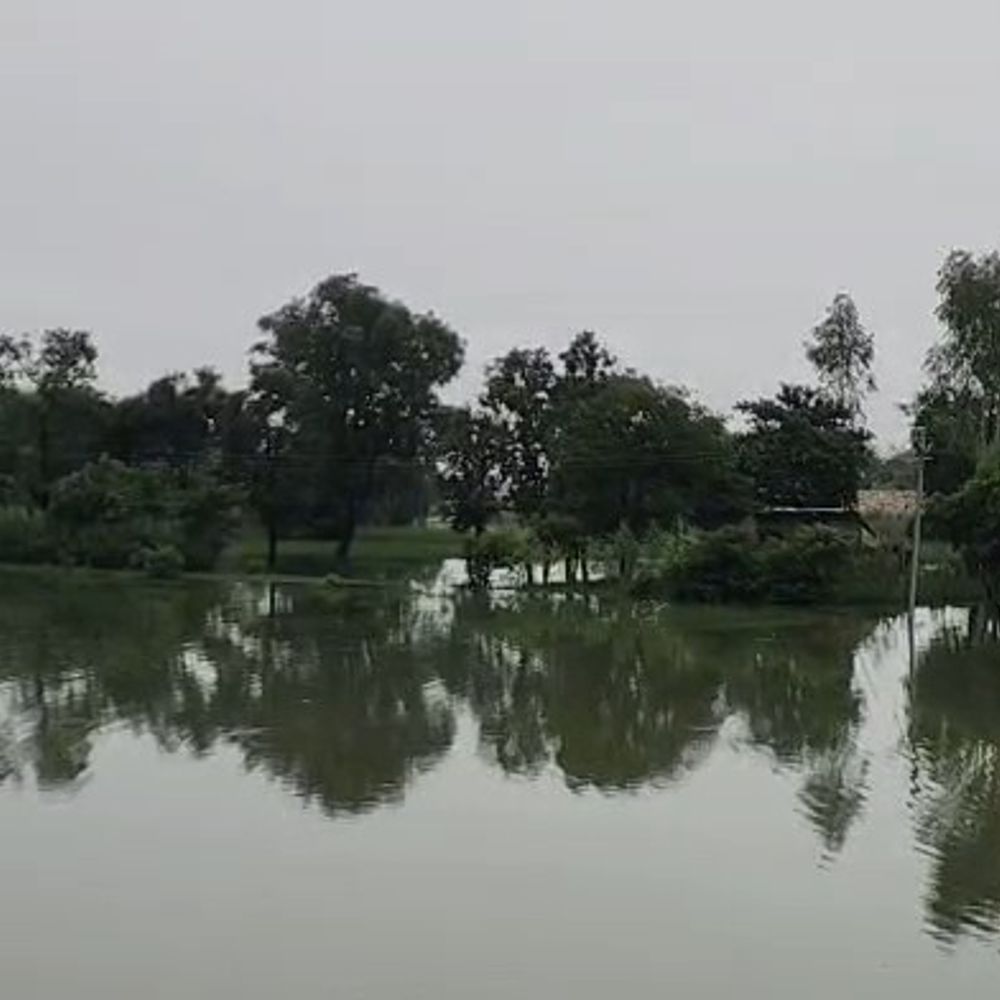 सीतापुर में चौका नदी में डूबने से किशोर की मौत:मवेशी निकालने के दौरान गहरे पानी में जाने से गई जान