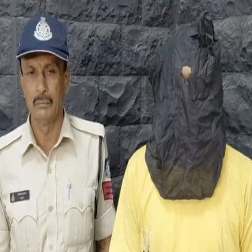चार पिस्टल, रिवॉल्वर और कारतूस के साथ आरोपी गिरफ्तार:धामनोद से डेढ़ लाख में हथियार लाने का खुलासा; नेटवर्क की जांच जारी