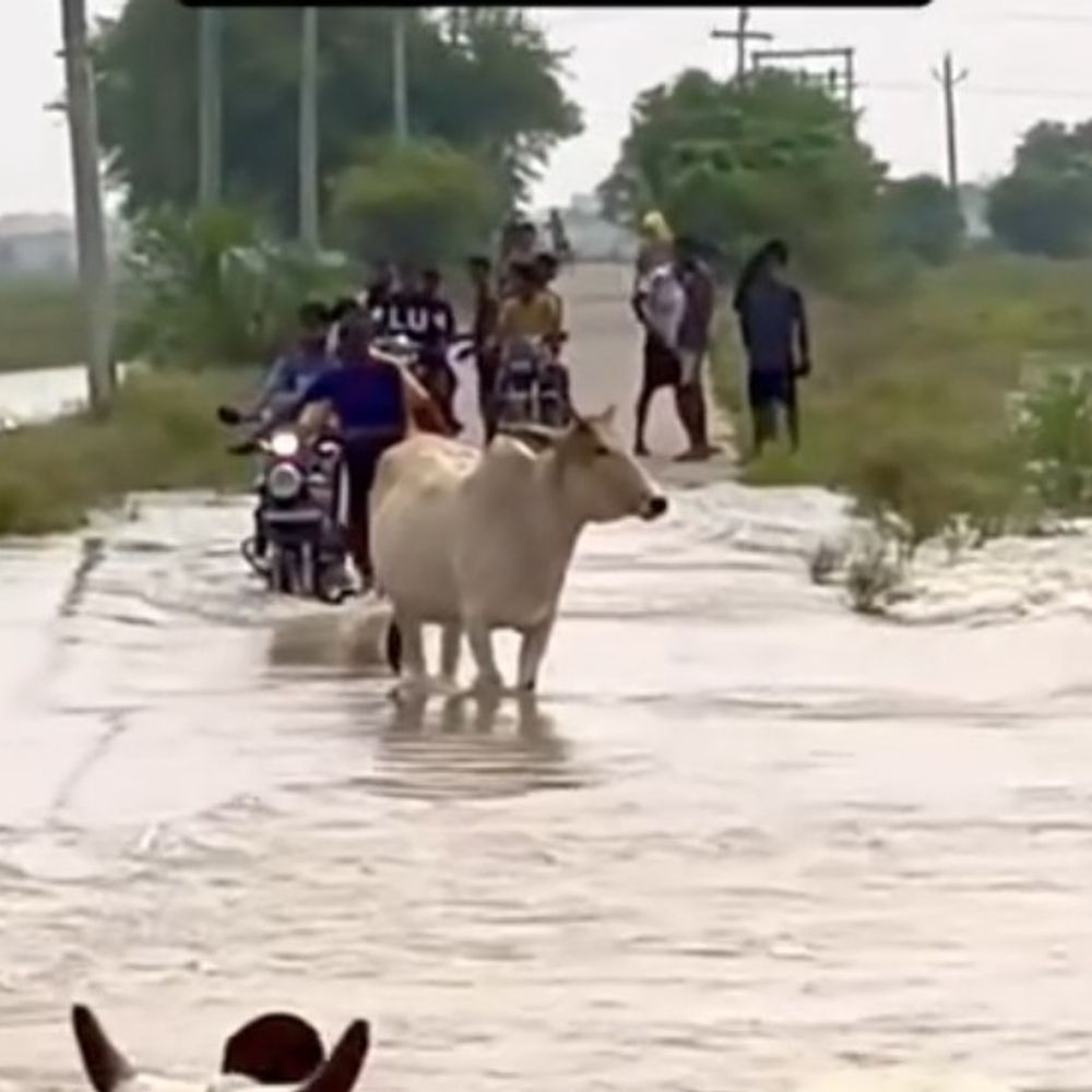 बक्सर में घटने लगा गंगा का जलस्तर:फिर भी चेतावनी बिंदु से 16 सेंटीमीटर ऊपर, प्रशासन बोला-‘लापरवाही नहीं बरतें, सतर्क रहें’