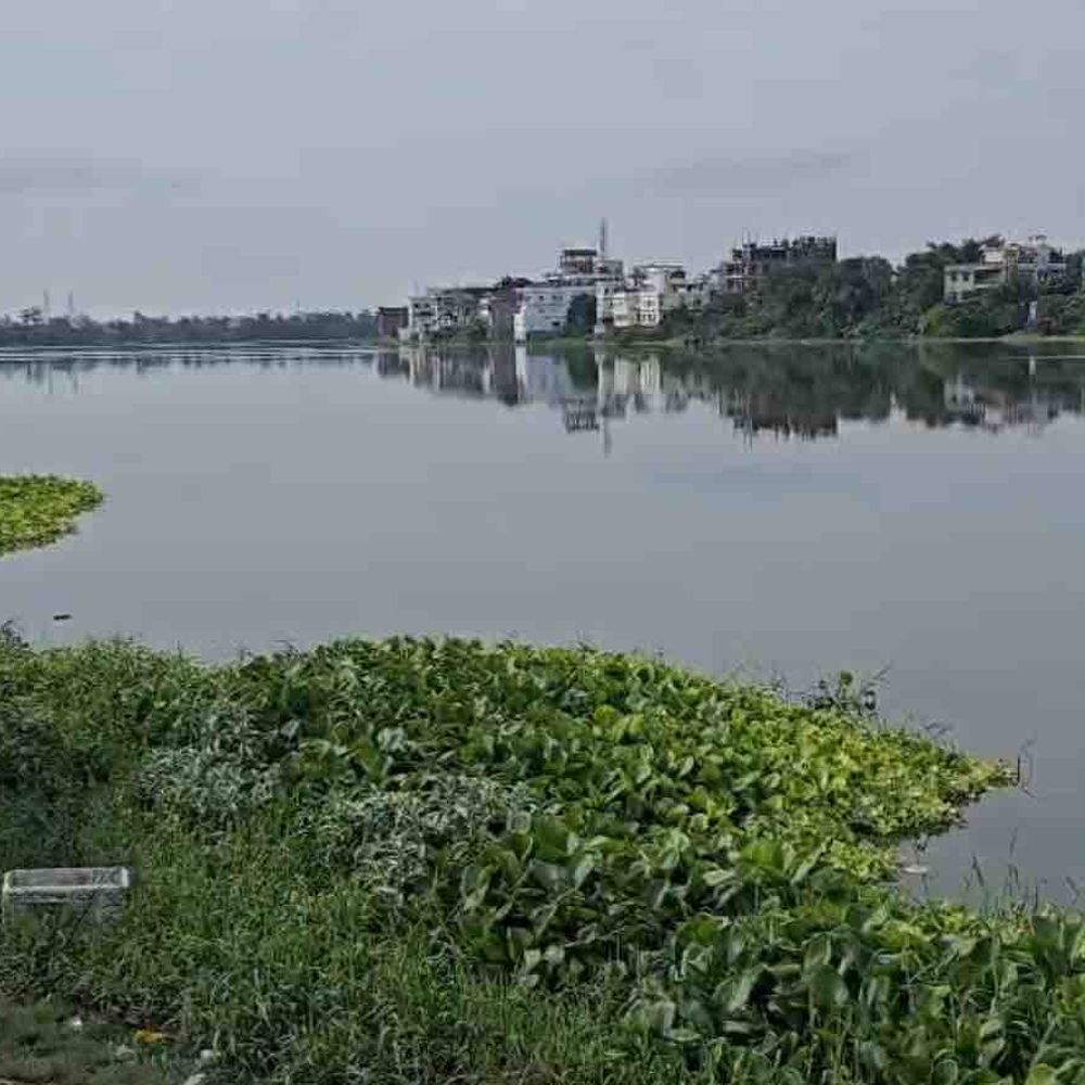 HC ने मोतीझील पुनरुद्धार पर मुख्य सचिव से मांगा शपथ-पत्र:2023 के निर्देशों का पालन न होने पर कोर्ट ने दिया आदेश
