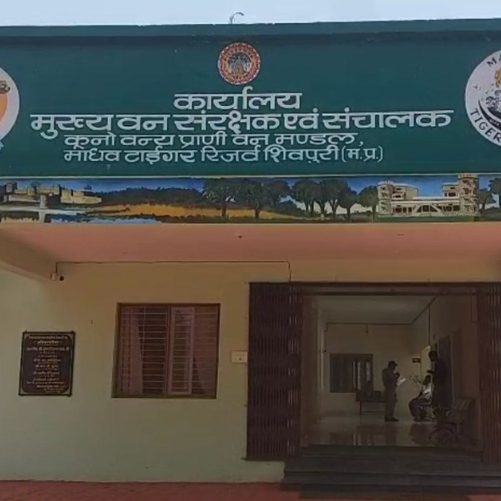 तेंदुए की खाल मामले में एनजीओ सीईओ जांच के घेरे:आरोपियों से पूछताछ में नाम सामने आया, 17 अगस्त को शिवपुरी में पूछताछ