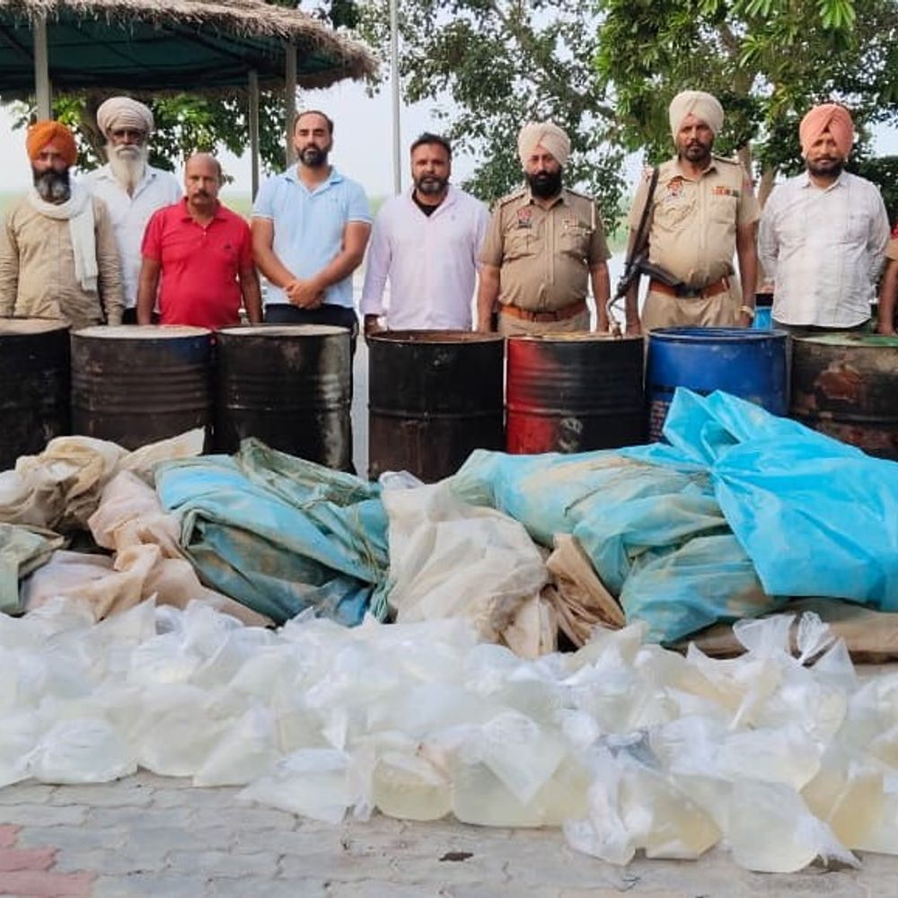 तरनतारन में भारी मात्रा में अवैध शराब, लाहन बरामद:एक्साइज-वन विभाग की संयुक्त कार्रवाई; 10 ड्रम, 19 हजार लीटर लाहन नष्ट