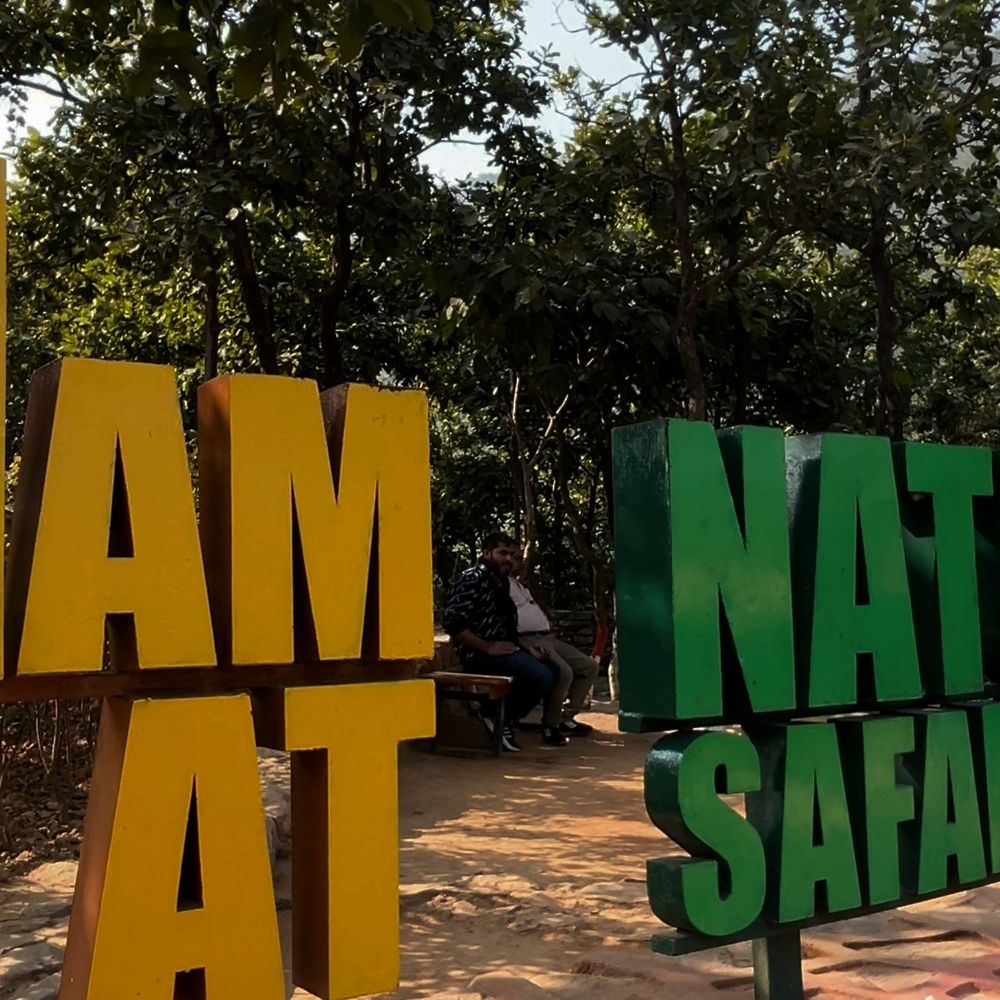 राजगीर के रोमांच के दीवाने हुए सैलानी:नेचर सफारी में दो साल में दोगुने हुए पर्यटक, पूरे बिहार में ईको-टूरिज्म की डिमांड
