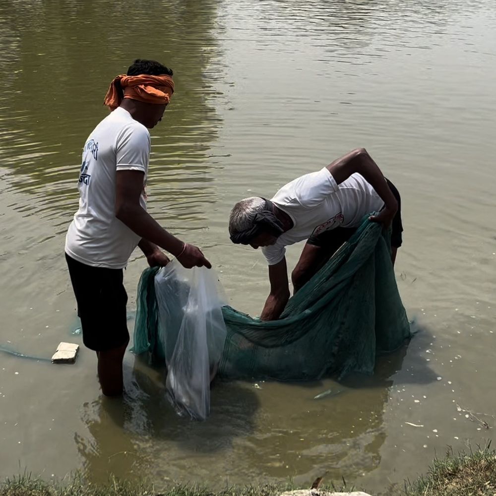 नालंदा में 15 सितंबर से 361 सरकारी जलकरों की नीलामी:​14 प्रखंडों के 361 जलकरों की बंदोबस्ती प्रक्रिया शुरू, जून 2027 तक के लिए मिलेगा पट्टा