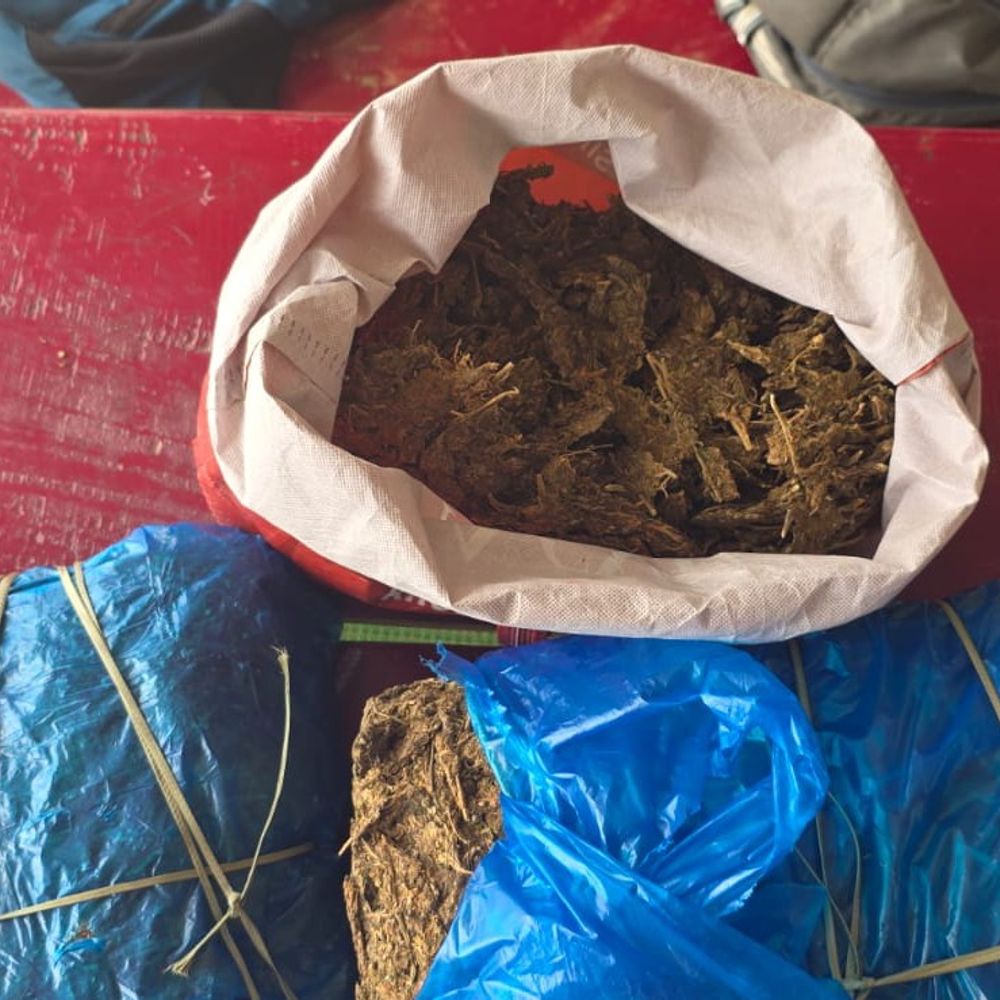मधुबनी के नरहिया में 8.750KG गांजा पकड़ा, तस्कर अरेस्ट:दूसरा आरोपी अंधेरे का फायदा उठाकर फरार, छापेमारी जारी