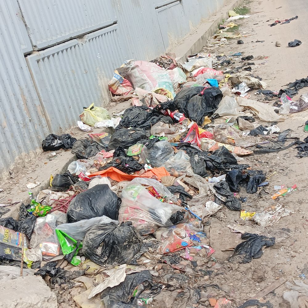 बेतिया बानूछापर-छावनी-ओवरब्रिज के नीचे कचरे की दुर्गंध से राहगीर परेशान:नगर निगम से जमा कचरे का तत्काल उठाव कराने की मांग