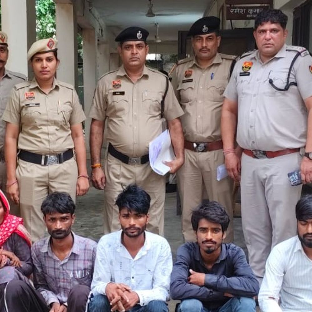 महेंद्रगढ़ में कछुआ बेचने के नाम पर 5 लाख ठगे:पुलिस ने अरेस्ट किए पांच आरोपी, 4 लाख कैश बरामद, राजस्थान के रहने वाले