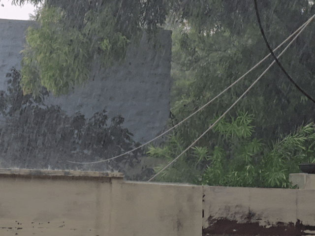 नागौर में सुबह बारिश से बदला मौसम, गर्मी-उमस से राहत::खींवसर में 60 MM बारिश, खरीफ फसलों को मिला जीवनदान; सावन की झड़ी से किसानों के चेहरे खिले